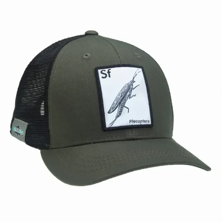 Rep Your Water Periodic Stonefly - Your Premium Fishing Gear Store Rods Lines Baits Accessories* Fly Fishing