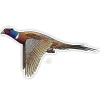 Ringneck Pheasant Sticker - Your Premium Fishing Gear Store Rods Lines Baits Accessories* Shop All