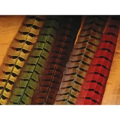 Ringneck Pheasant Tail Feathers - Your Premium Fishing Gear Store Rods Lines Baits Accessories* Shop All