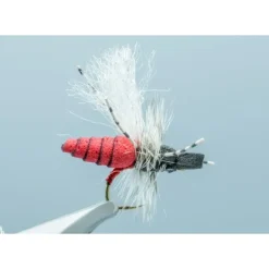 RNY Hegan Ant Black/Red #14 - Your Premium Fishing Gear Store Rods Lines Baits Accessories* Shop All
