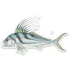 Roosterfish Sticker - Your Premium Fishing Gear Store Rods Lines Baits Accessories* Shop All