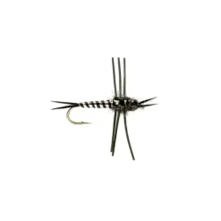 Rosetta Stone Nymph Black - Your Premium Fishing Gear Store Rods Lines Baits Accessories* Shop All