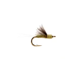 RS2 Olive - Your Premium Fishing Gear Store Rods Lines Baits Accessories* Fly Fishing