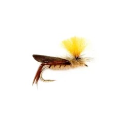 Schroeder's Hopper - Your Premium Fishing Gear Store Rods Lines Baits Accessories* Shop All