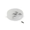 SCIENTIFIC ANGLERS ACCESSORIES - Your Premium Fishing Gear Store Rods Lines Baits Accessories* Shop All