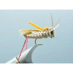 Secret Sauce Hopper Tan #12 - Your Premium Fishing Gear Store Rods Lines Baits Accessories* Shop All