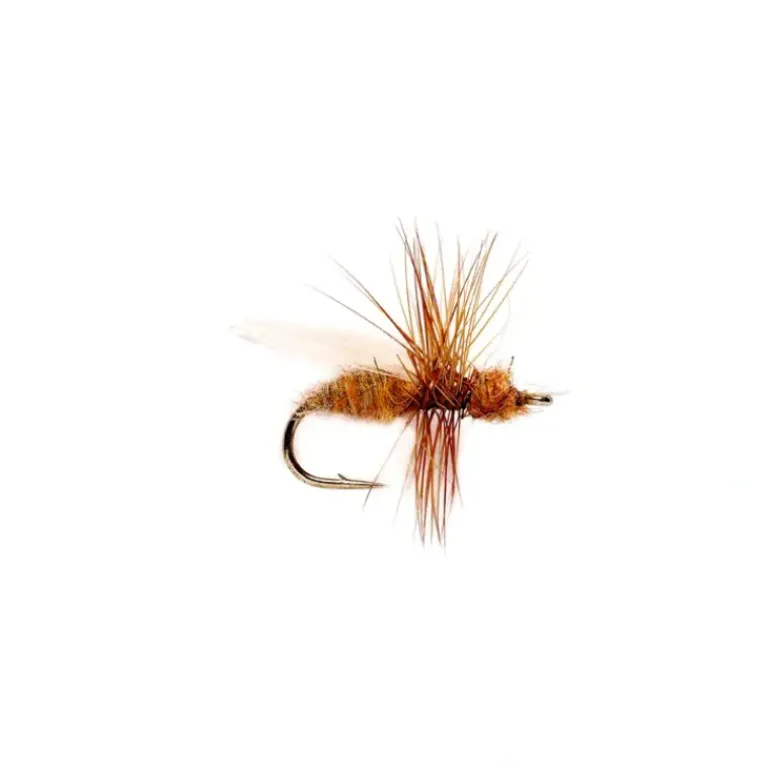 Smith's Flying Ant Cinnamon - Your Premium Fishing Gear Store Rods Lines Baits Accessories* Fly Fishing