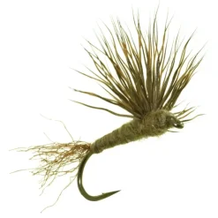 Sparkle Dun BWO - Your Premium Fishing Gear Store Rods Lines Baits Accessories* Fly Fishing