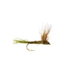 Sparkle Dun Olive - Your Premium Fishing Gear Store Rods Lines Baits Accessories* Fly Fishing