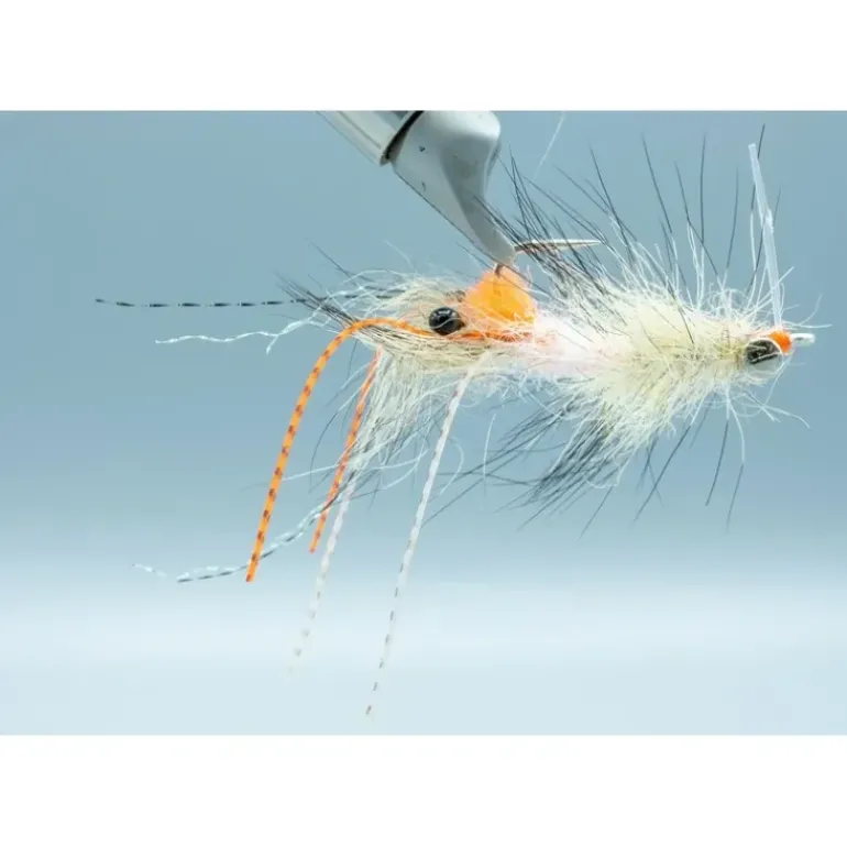 Spawning Shrimp Coyote - Your Premium Fishing Gear Store Rods Lines Baits Accessories* Shop All