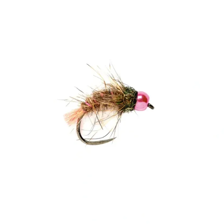 Special Tungsten Beadhead Barbless - Your Premium Fishing Gear Store Rods Lines Baits Accessories* Shop All