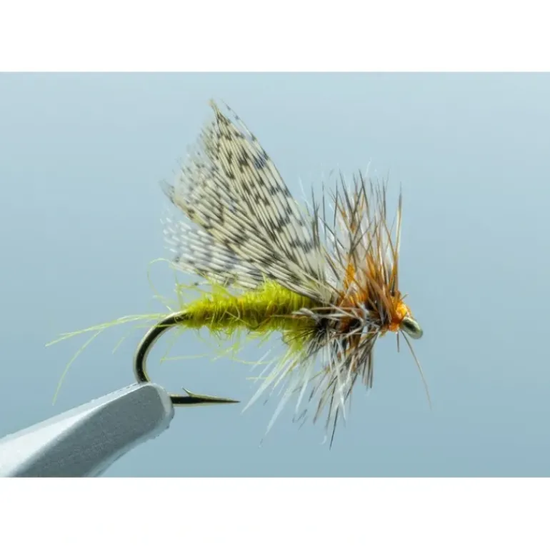 Spent Partridge Caddis Olive #16 - Your Premium Fishing Gear Store Rods Lines Baits Accessories* Fly Fishing