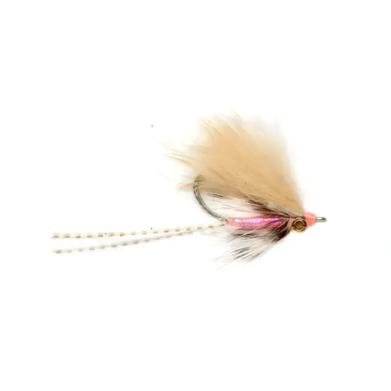 Stand Up Shrimp - Your Premium Fishing Gear Store Rods Lines Baits Accessories* Shop All