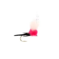 Steak N Eggs Cerise - Your Premium Fishing Gear Store Rods Lines Baits Accessories* Fly Fishing