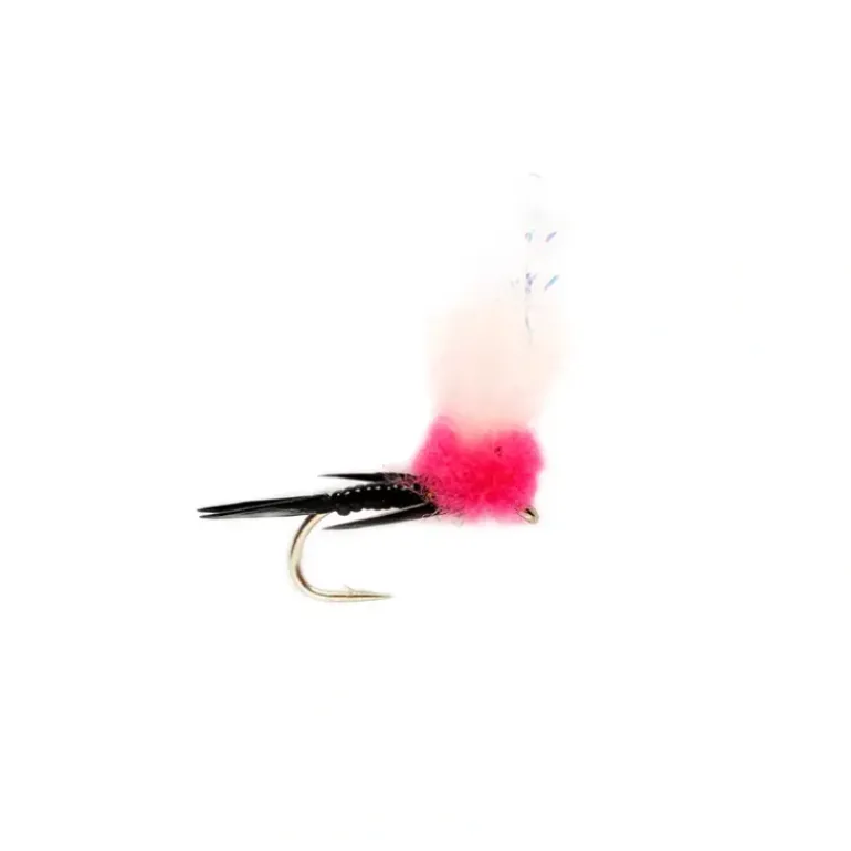 Steak N Eggs Cerise - Your Premium Fishing Gear Store Rods Lines Baits Accessories* Fly Fishing