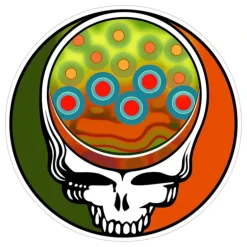 Steal Your Face Brook Trout 4" - Grateful - Your Premium Fishing Gear Store Rods Lines Baits Accessories* Fly Fishing