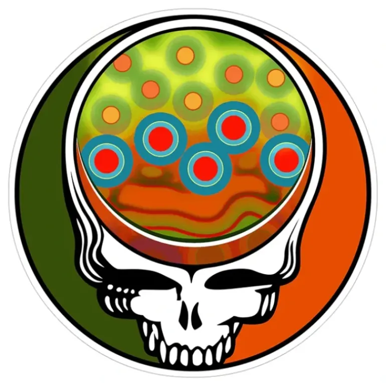 Steal Your Face Brook Trout 4" - Grateful - Your Premium Fishing Gear Store Rods Lines Baits Accessories* Fly Fishing