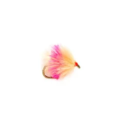 Steelie Omelet Peach - Your Premium Fishing Gear Store Rods Lines Baits Accessories* Fly Fishing
