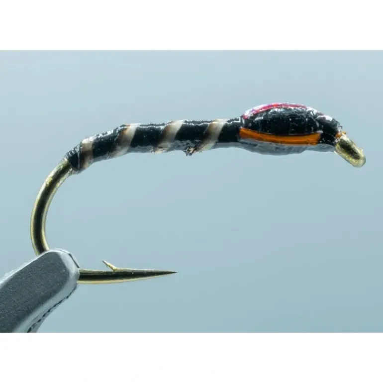 Stop Light #10 - Your Premium Fishing Gear Store Rods Lines Baits Accessories* Shop All
