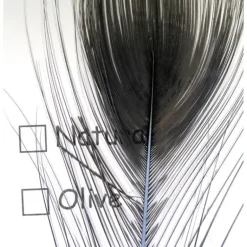 Stripped Peacock Eye - Your Premium Fishing Gear Store Rods Lines Baits Accessories* Shop All