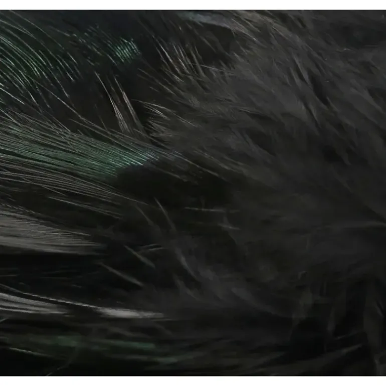 Strung Ringneck Rump Feathers - Your Premium Fishing Gear Store Rods Lines Baits Accessories* Shop All
