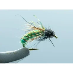 Super Pupa TB Bright Green #16 - Your Premium Fishing Gear Store Rods Lines Baits Accessories* Fly Fishing