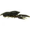 Tackle HD Hi-Def Craw Lures - Your Premium Fishing Gear Store Rods Lines Baits Accessories* Bait