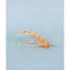 Tailer's Beware - Your Premium Fishing Gear Store Rods Lines Baits Accessories* Shop All