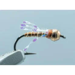 TB Frenchdipity Rust #18 - Your Premium Fishing Gear Store Rods Lines Baits Accessories* Shop All