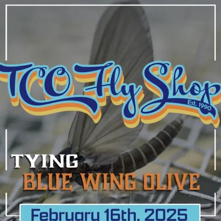 TCO Fly Tying Class: Blue Wing Olive Life Cycle - State College - Your Premium Fishing Gear Store Rods Lines Baits Accessories^ Hot