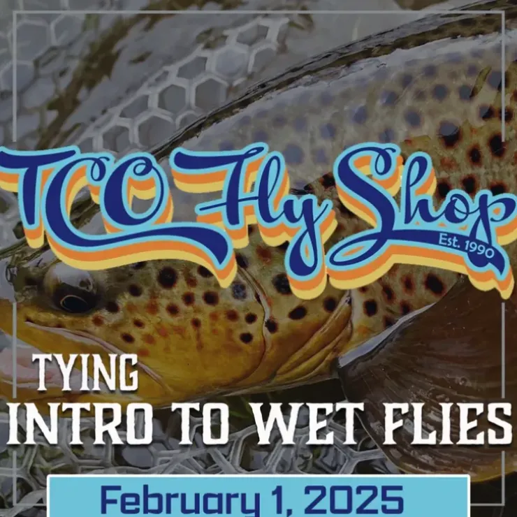 TCO Fly Tying Class: Introduction To Wet Flies with Steve Turrisi - Your Premium Fishing Gear Store Rods Lines Baits Accessories^ Hot