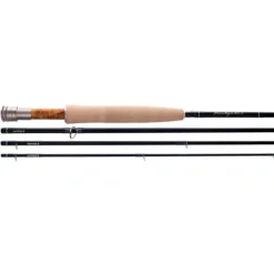 Thomas & Thomas Paradigm Fly Rod - Your Premium Fishing Gear Store Rods Lines Baits Accessories^ Shop