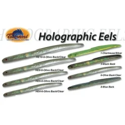 Tsunami Holographic Eel Unrigged Lure HE4 HE6 - Your Premium Fishing Gear Store Rods Lines Baits Accessories^ Hot