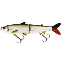 Westin HypoTeez HL/GB Swimbait, Lively Roach 7" - Your Premium Fishing Gear Store Rods Lines Baits Accessories^ Online