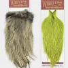 Whiting Coq de Leon Cape - Your Premium Fishing Gear Store Rods Lines Baits Accessories^ Shop