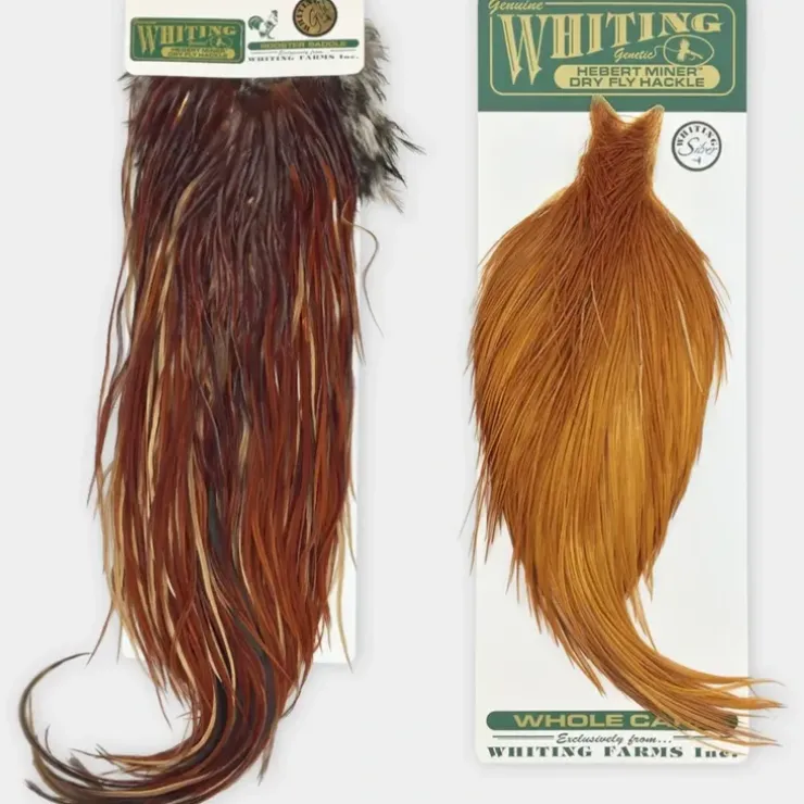 Whiting Hebert Miner Pro Grade Cape - Your Premium Fishing Gear Store Rods Lines Baits Accessories^ Best Sale