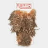 Whiting Rooster SH/C - Your Premium Fishing Gear Store Rods Lines Baits Accessories^ Clearance