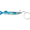 Williamson Live Ballyhoo Pro-Rigged Lure 9 1/2" Blue - Your Premium Fishing Gear Store Rods Lines Baits Accessories^ Cheap